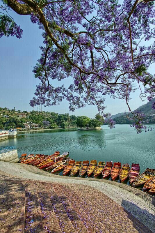 Bhimtal & Sattal Excursion